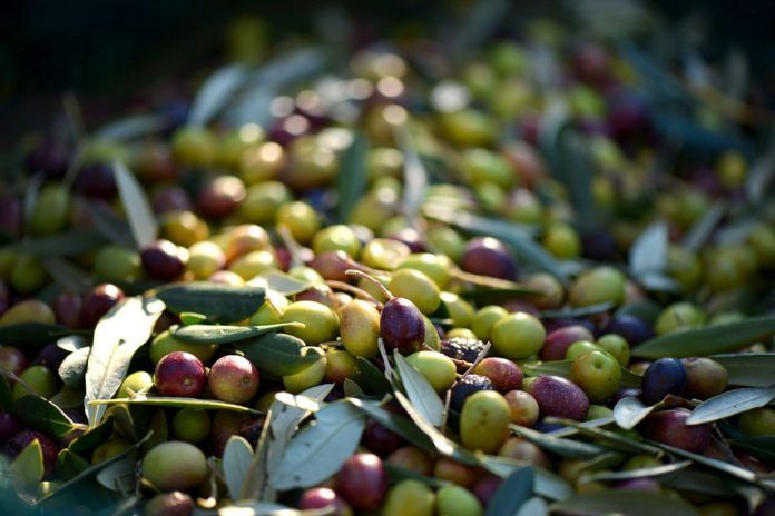 Mercado plano en aceite de oliva