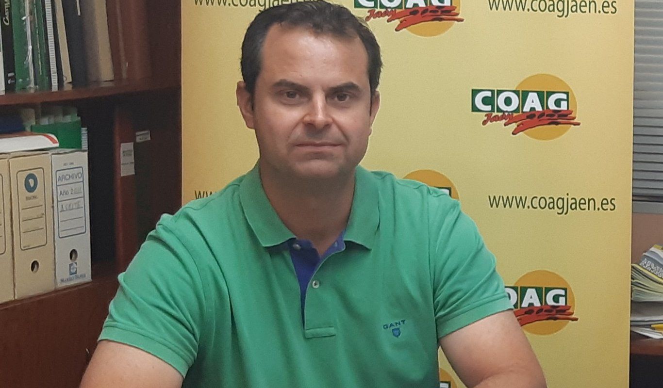 COAG pregunta al Gobierno si va a limitar las importaciones de aceite tras haberse «batido todos los récords»