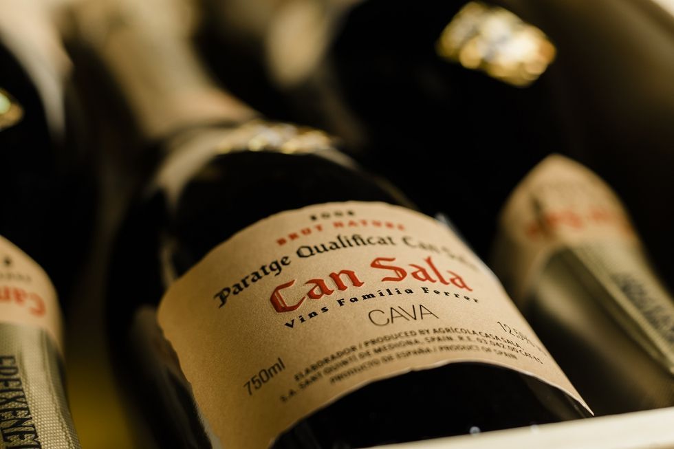 Cava Can Sala, mejor vino espumoso de 2020
