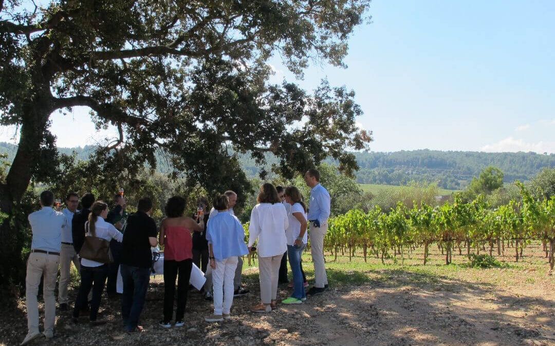 La quinta edición de La Vendimia del Cava vuelve con aforos reducidos y con todas las medidas preventivas sanitarias