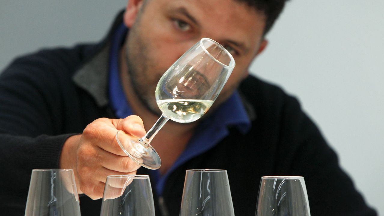 Una investigación para certificar el origen del vino gallego y evitar el fraude