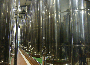 Nuevo respiro para el aceite de oliva en España
