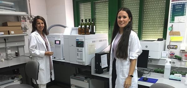 Validan un nuevo método más rápido y fiable para categorizar el aceite de oliva