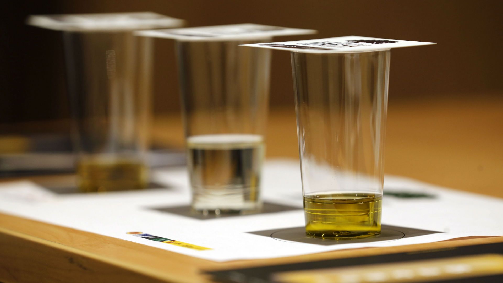 Los aceites cordobeses conquistan el podium del XI Concurso Pedro León Mellado