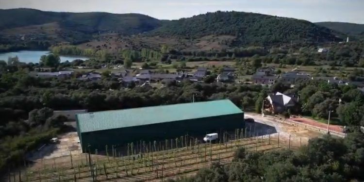Cerveza Castreña pone en marcha una nueva fábrica y una plantación experimental de lúpulo