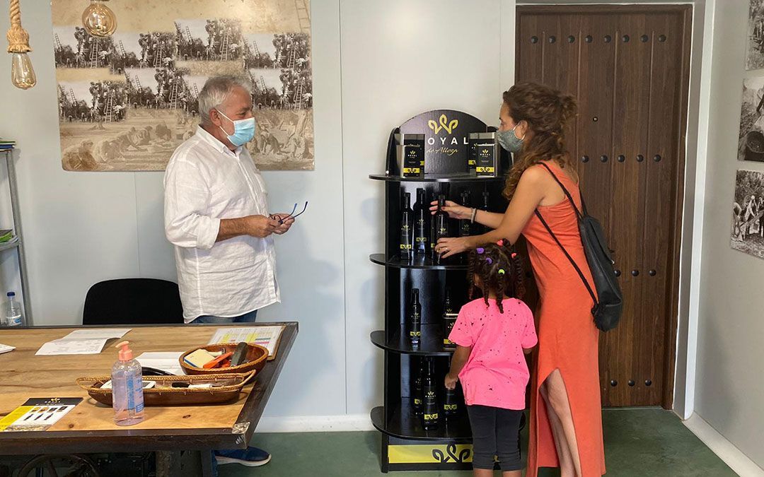 Alloza inicia el proceso administrativo para entrar en la Denominación de Origen del aceite