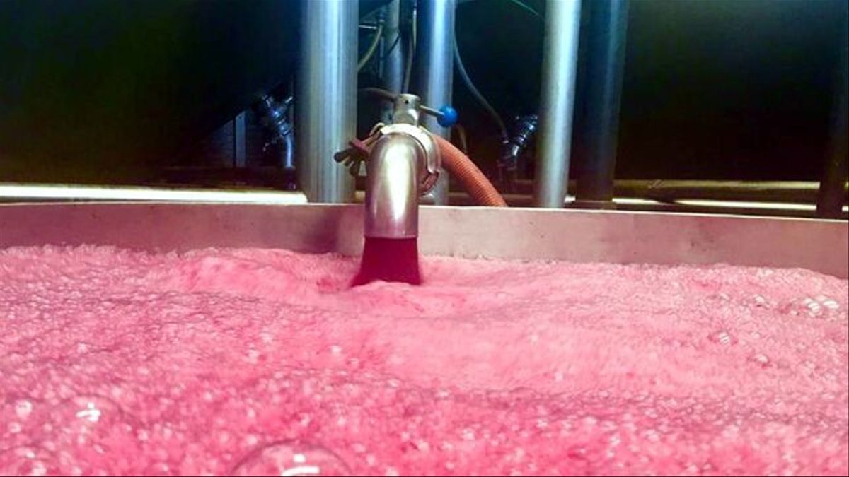 La campaña 2019/2020 cierra con unas existencias de vino de 34,6 millones de hectolitros, 8,9 de ellos en la región