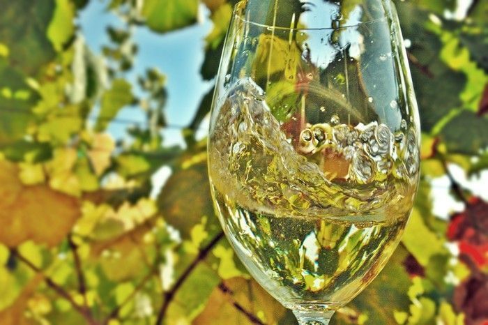 La D.O. Ribeiro recibe 29 galardones en los Decanter World Wine Awards 2020