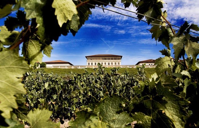 Bodegas Rioja Vega nominada como mejor productor de vino tinto en 2020 por IWSC