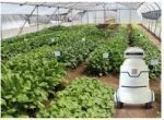 El coronavirus acelera la Cuarta Revolución Industrial: el trabajo robotizado alcanzará al humano en cinco años