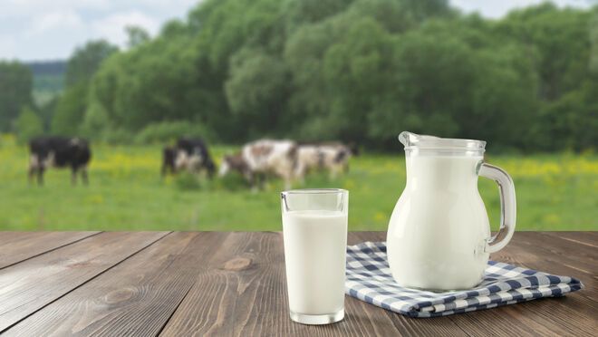 La leche sigue reinando ante el auge de las alternativas lácteas