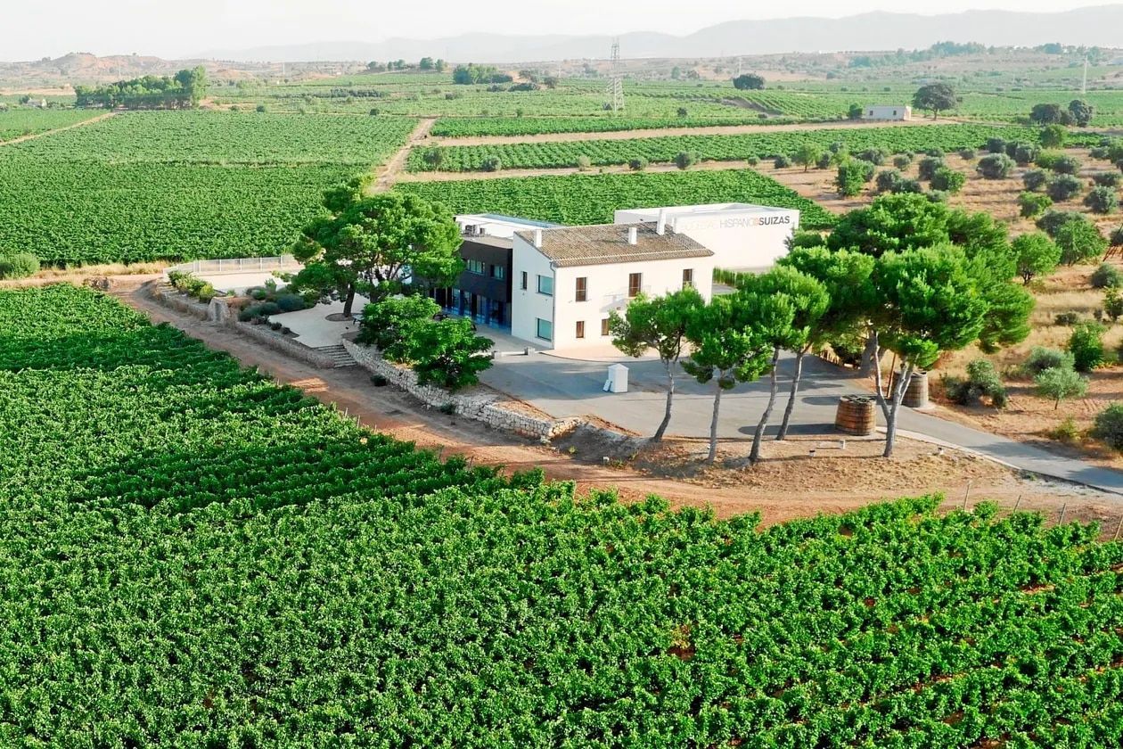 Los vinos Hispano Suizas, entre los 100 mejores del año en España según la guía WineUp