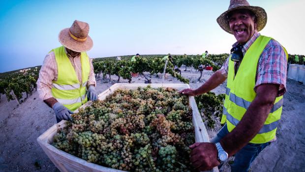 González Byass, elegida la ‘mejor familia de vino’ del mundo