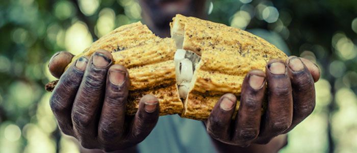 Cacao Barry anuncia la sostenibilidad de sus chocolates