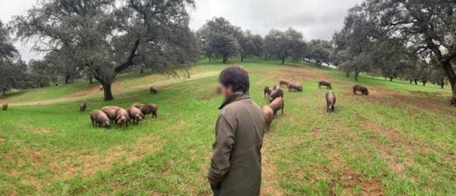 El efecto dominó de la hostelería arrastra a ganaderos e industria