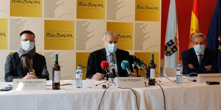 La exportación de vino de la DO Rías Baixas crece un 5,7% en volumen