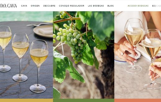 La DO Cava renueva su web e imagen corporativa adaptándose a la demanda del mercado
