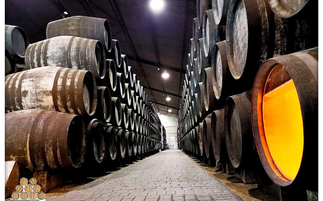 Nuevo conflicto en la DO Jerez: El pleno equipara al fino con la manzanilla