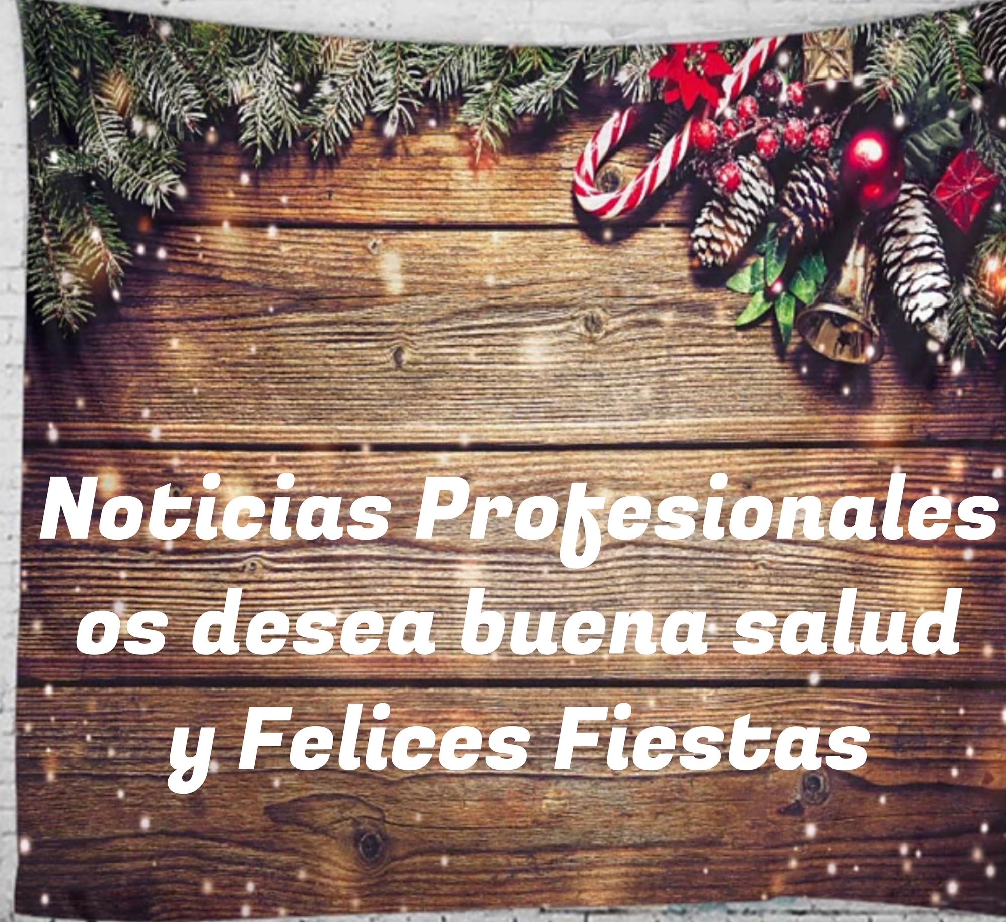 El equipo de Noticias Profesionales os desea Feliz Navidad