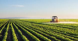 Los indicadores económicos muestran un sector agroalimentario agitado en 2020