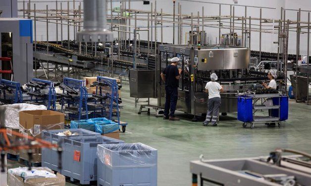 La cooperativa española Dcoop acaba 2020 con una caída del 7 % en ventas y busca compras en aceite envasado