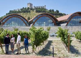 SELECCIÓN SEMANAL NOTICIAS PROFESIONALES 3O DE ENERO – VINOS: Bodegas Protos cierra 2020 con caídas moderadas y confía en la vacunación