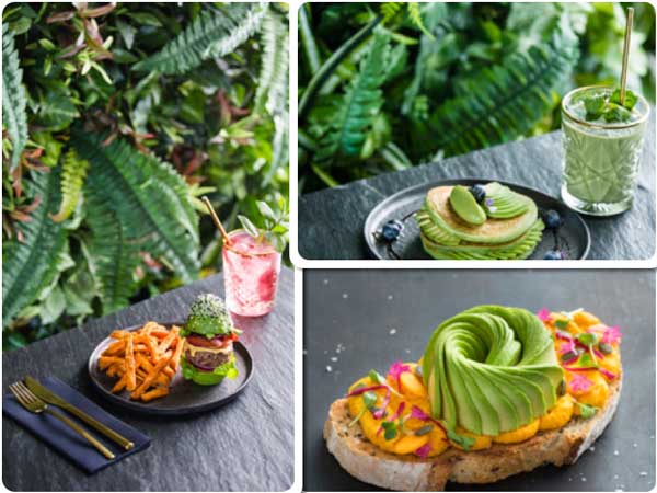 La franquicia de restaurantes saludables The Avocado Show llega a España