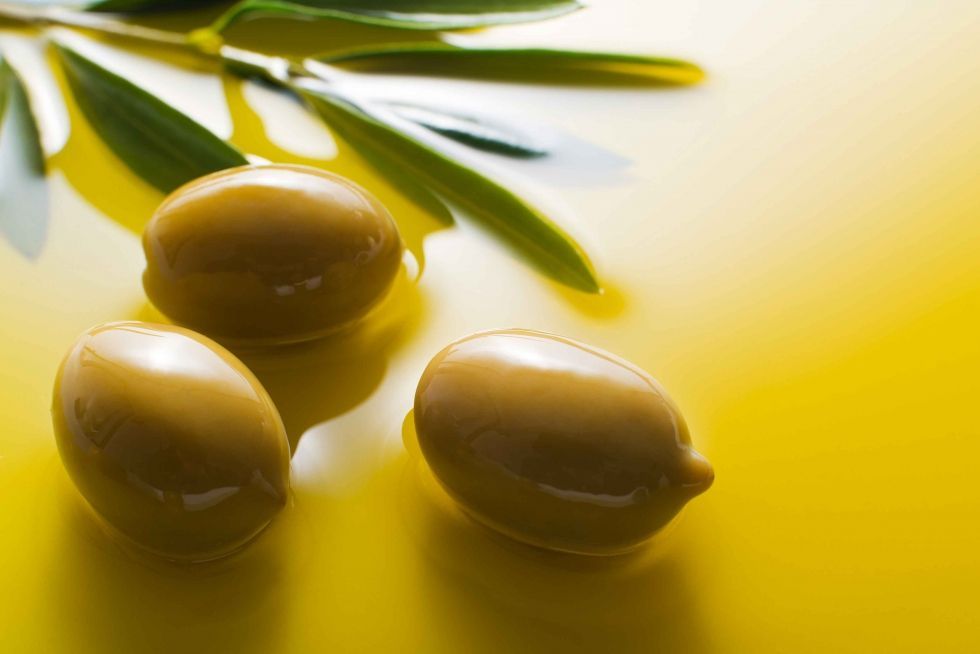 Apobados dos Reales Decretos para proteger el sector del aceite de oliva