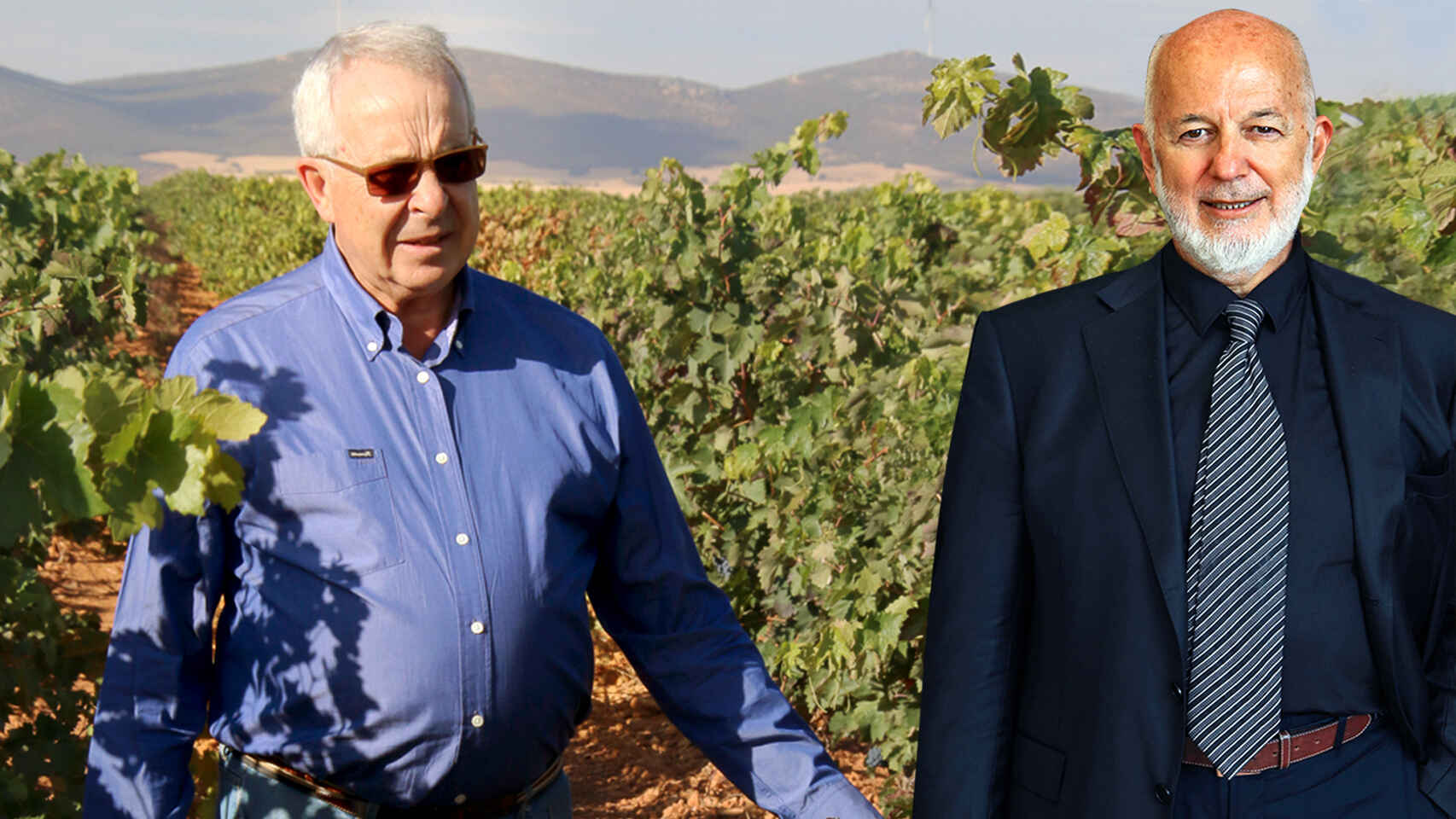 El vino de Valdepeñas estalla tras la guerra entre Félix Solís y García Carrión por el etiquetado