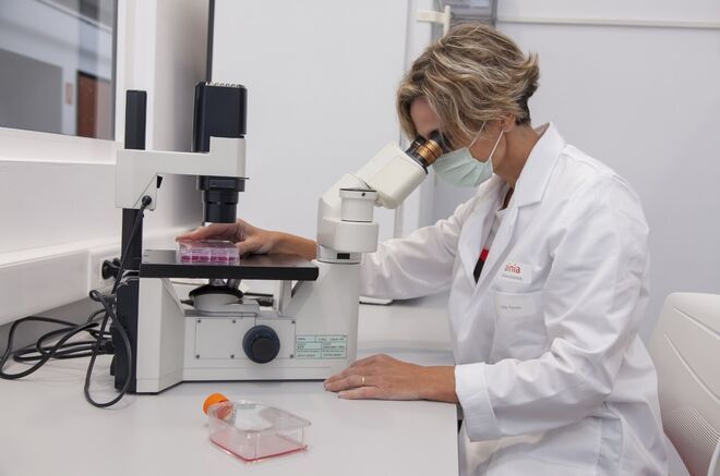 Radiación, listeria… Identifican los mayores riesgos para el sector alimentario