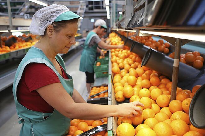 Un grupo de 58 empresas lanzan un proyecto para invertir 417 millones en alimentación