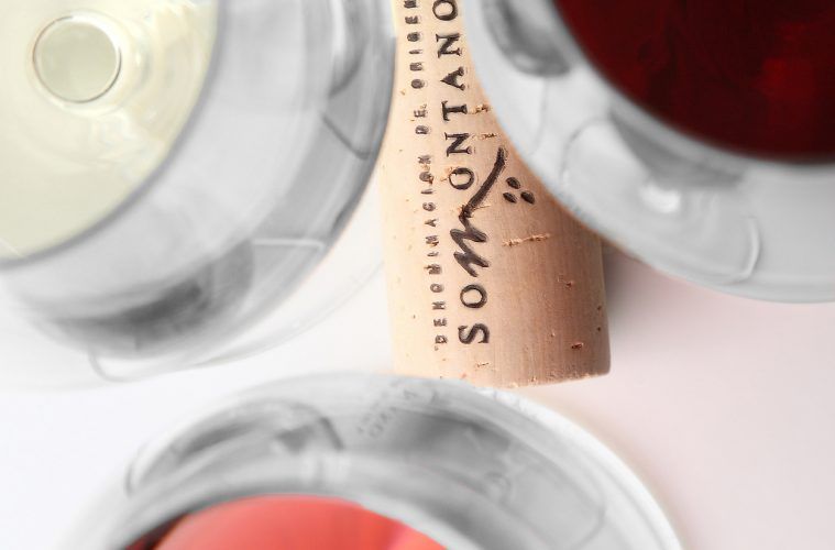 La añada 2020 de los vinos Somontano, calificada como Excelente