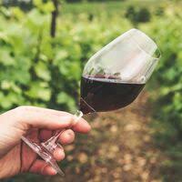 El aumento de consumo de vino en el hogar en España no compensa la caída de ventas por el coronavirus
