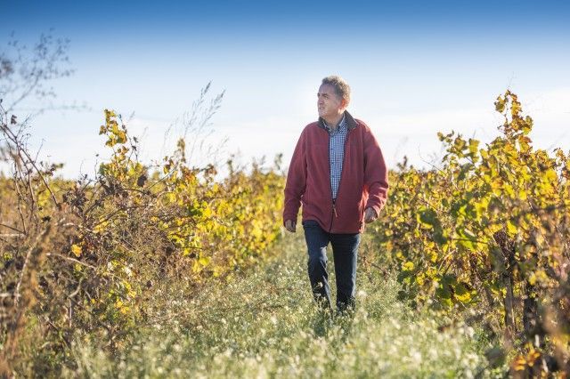 Siete oros y siete platas para los vinos de Família Ametller en Catavinum 2021