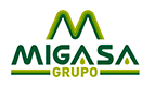Antonio J. Gallego: «La gran oportunidad para el aceite español está en Asia»