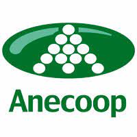 Anecoop logra en 2020 una facturación récord de 770,5 millones, un 8% más que el año anterior