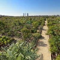 La digitalización también echa raíces en la huerta