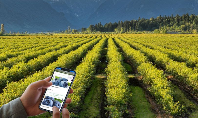El Covid-19 impulsa la digitalización del sector agrícola en España