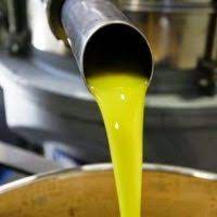 El precio del aceite se dispara en el campo y el sector deja atrás la crisis