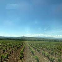El Gobierno revisa con las comunidades autónomas el protocolo de actuación de la Guía para prevenir brotes en el sector agrario