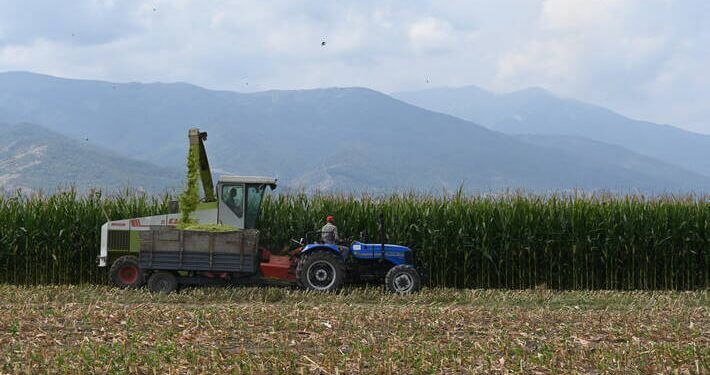 Los precios mundiales de los alimentos siguen disparados en mayo