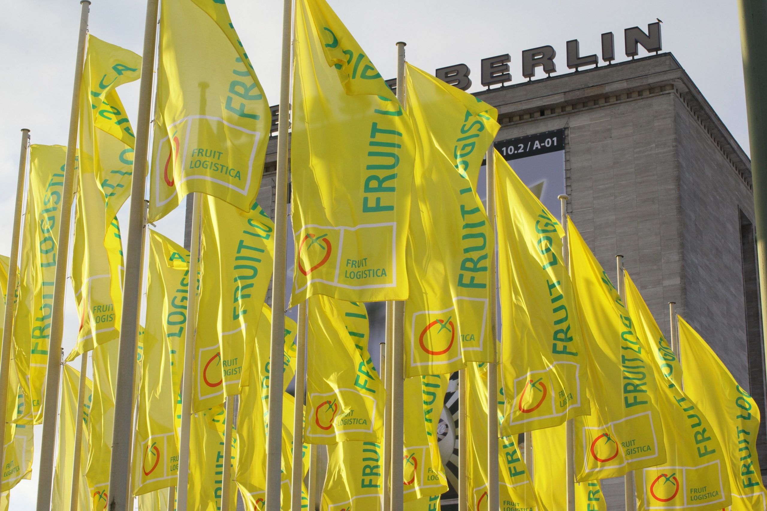 FRUIT LOGISTICA 2022: vuelta a los negocios cara a cara
