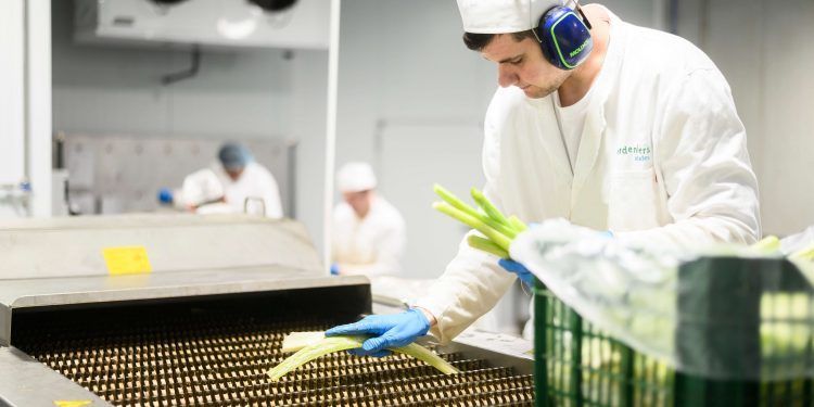 Selección semanal 26 de Junio – TECNOLOGÍA: La tecnología enriquece el Sector de Alimentación y Bebidas