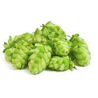Nuevo producto de lúpulo fresco en la comunidad mundial de la cerveza artesanal