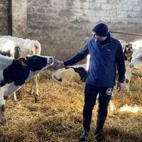 Los ganaderos producen leche por debajo de costes desde 2018 y pierden 500.000 euros al día