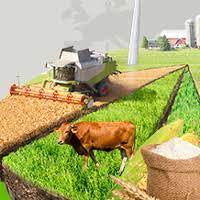 El sector agroalimentario aportó 100.000 millones de euros a la economía española en 2020, el 9,7% del PIB