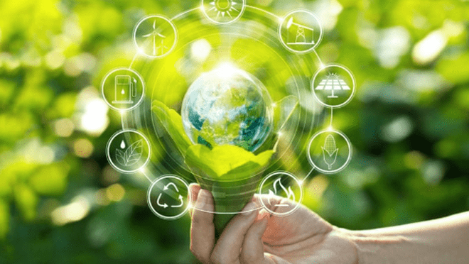 El nuevo código de conducta de las empresas alimentarias: un camino hacia la sostenibilidad
