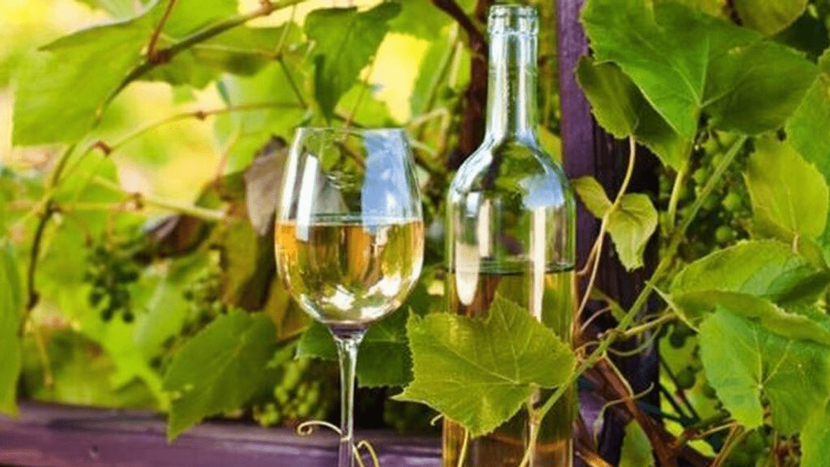 El diario británico ‘The independent’ elige un vino blanco del Penedès como el mejor de España