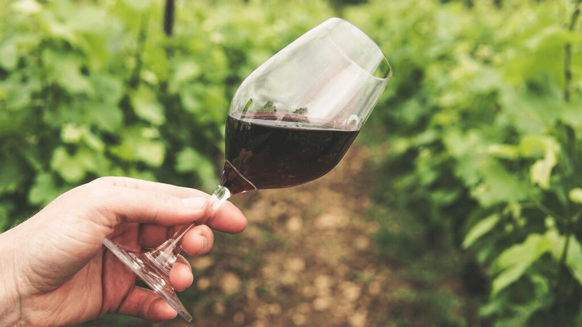 Las 7 bodegas españolas entre las 100 mejores del mundo