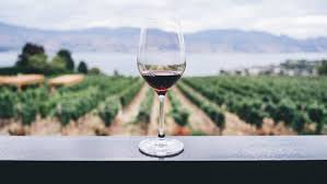 Tenerife cosecha 25 galardones en el concurso mundial de vinos extremos